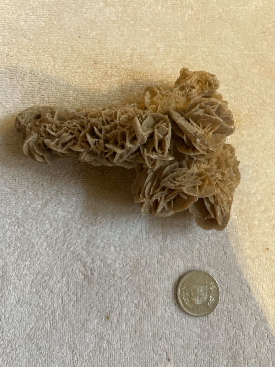 Minerali & Pietre curative: Wunderschöne Gipsrose / Sandrose aus der Sahara. – Usato da Niederhelfenschwil venduto da ele_zr5b