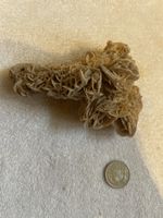 Wunderschöne Gipsrose / Sandrose aus der Sahara.