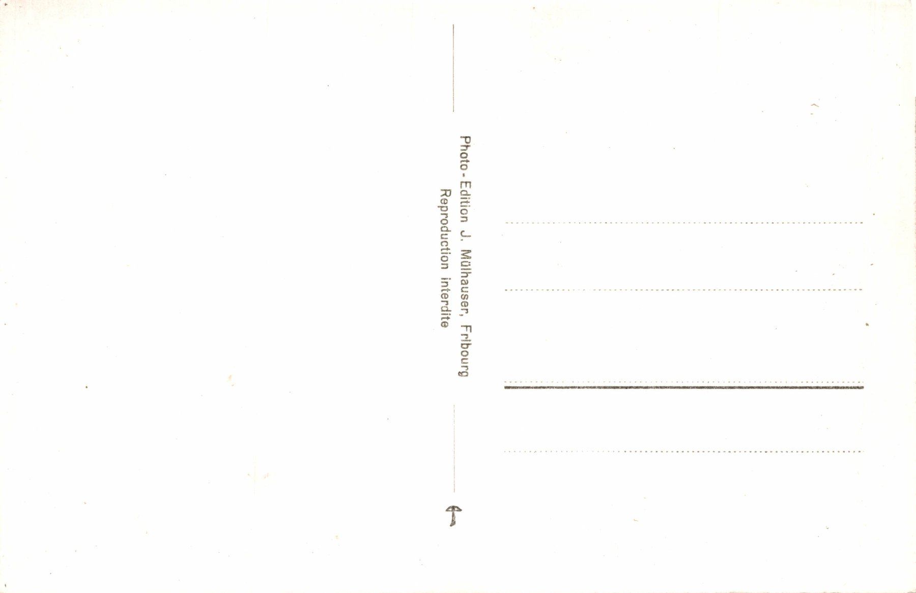 Cartoline postali: Souvenir de Fribourg – Usato da Bronschhofen venduto da Astore 1