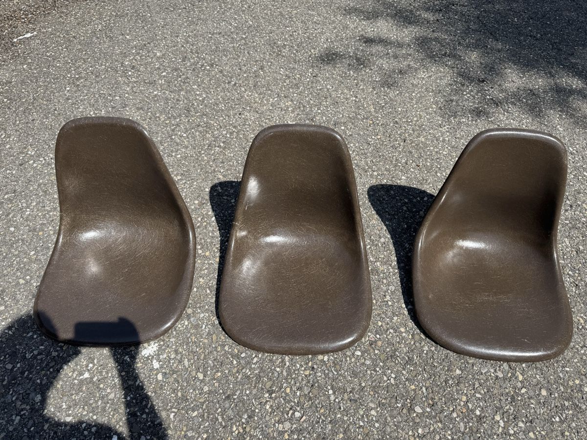 Sedie: 3 Eames Schalen Braun ab 1.- Defekt  – Usato da Grenchen venduto da Design-Outlet 1