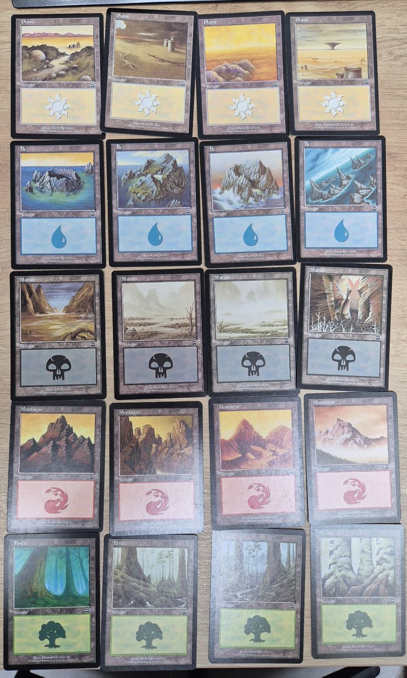 Magic The Gathering Sammelbilder & Trading cards: MTG Magic The Gathering: Mercacian Masques Basic Land Set FR – Gebraucht aus Küsnacht ZH von Canada-2012