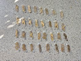 *** Abzeichen Set Armee 95 nr.1 ***