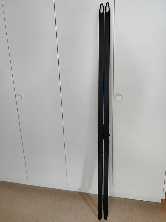 Fischer Sci: Fischer Carbon Langlaufski 192cm Skating – Usato da Unterschächen venduto da Michaela_55 1