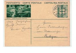 CH Ganzsache Bildpostkarte Basel Zoo Eisbär - o 1933