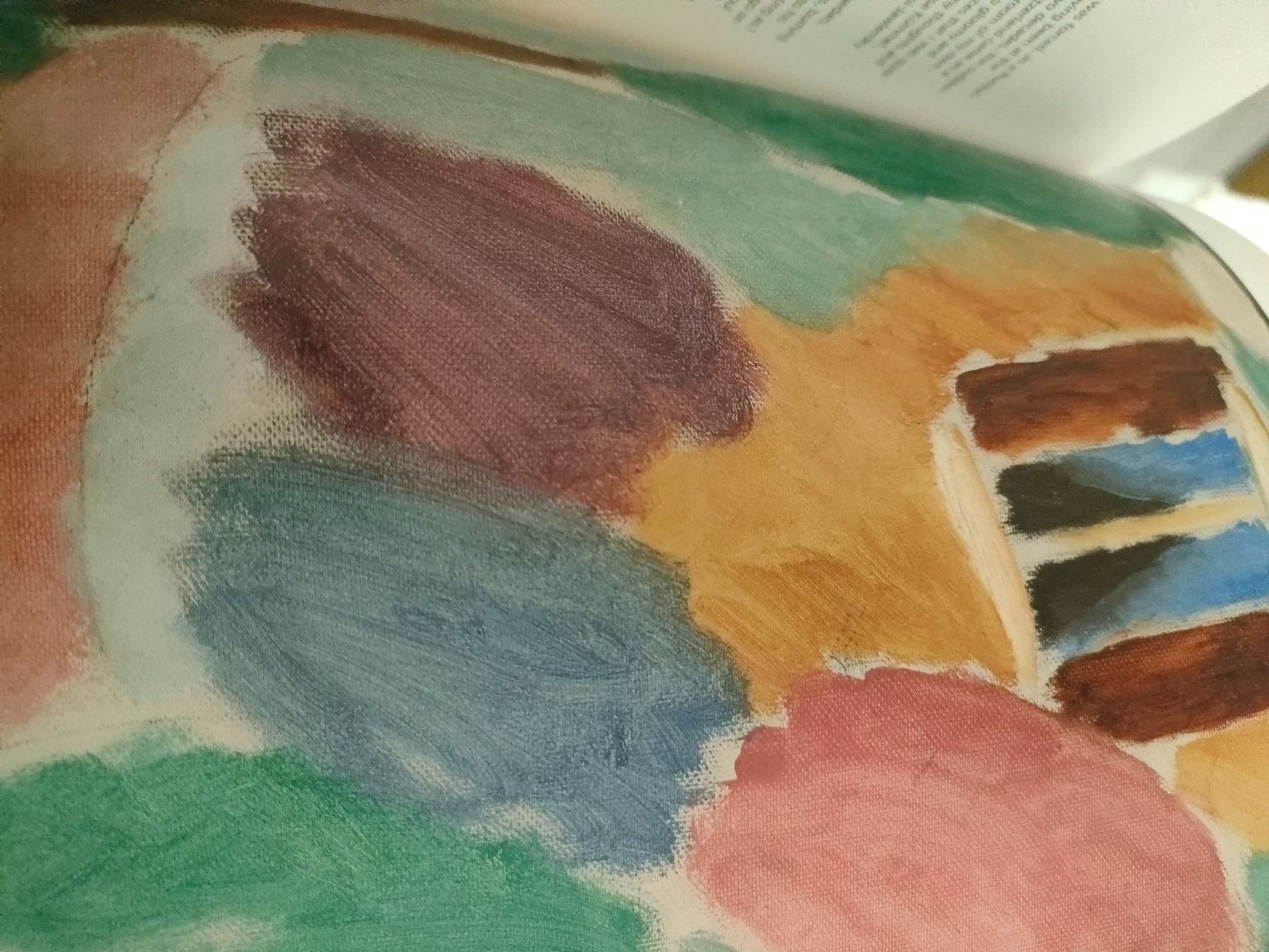 Libri: Kunstbuch Christie's – Usato da Brugg AG venduto da Mashaba 1