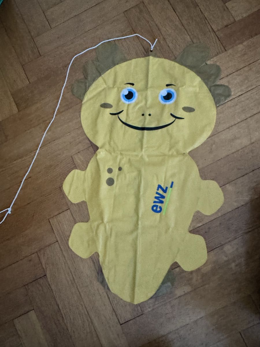 Salvagente: Inflatable float from Limmatschwimmen 2025 – Usato da Zürich venduto da kri_zhv2 1
