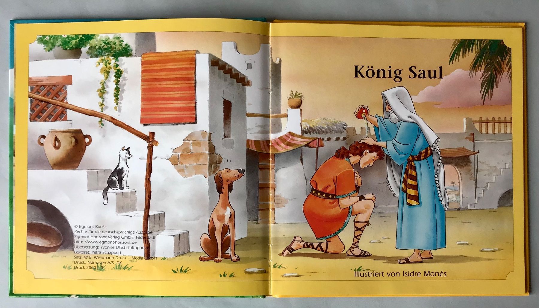 Bücher: biblische Geschichte: König Saul – Neu (gemäss Beschreibung) aus Bubendorf von Alpenheidi 2