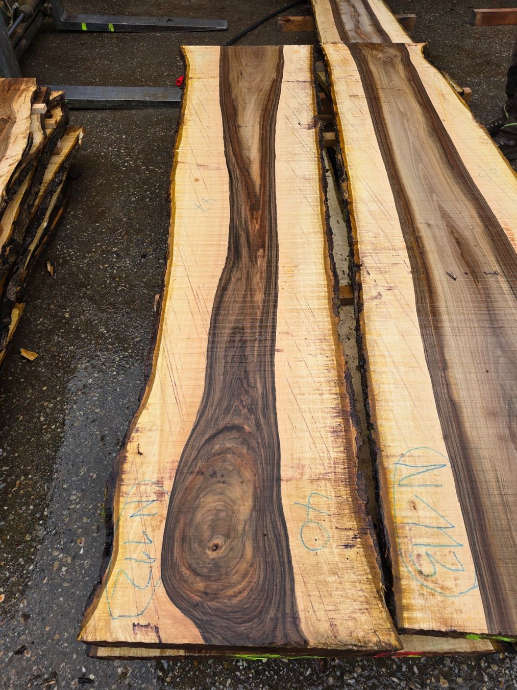 Articoli in legno: Nussbaumbrett Nr. N112 – Nuovo (secondo la descrizione) da Ramsei venduto da Waelchris
