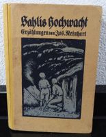 🌺 Sahlis Hochwacht und andere Erzählungen 1917 🌺