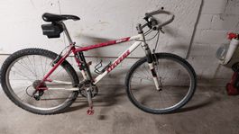 Stevens Mountainbike Rahmenhöhe 47cm, Top Zustand!