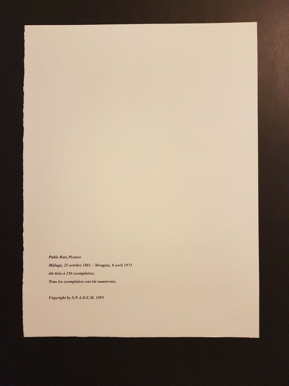 Grafica & Litografie: Pablo Picasso 50/250 – Nuovo (secondo la descrizione) da Glattbrugg venduto da casabelavista 6