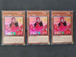 Yugioh Rosenprinzessin x 3