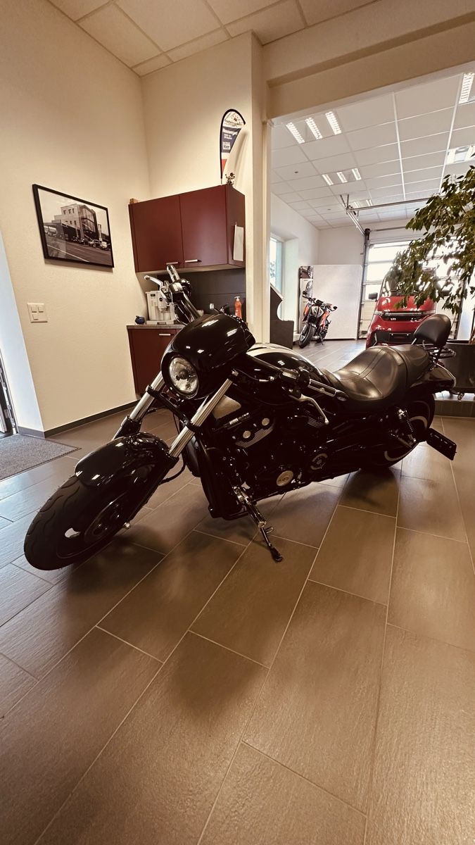 Chopper: Harley Davidson VRSCDX Night Rod Special – Gebraucht aus Liestal von 4410Liestal 6