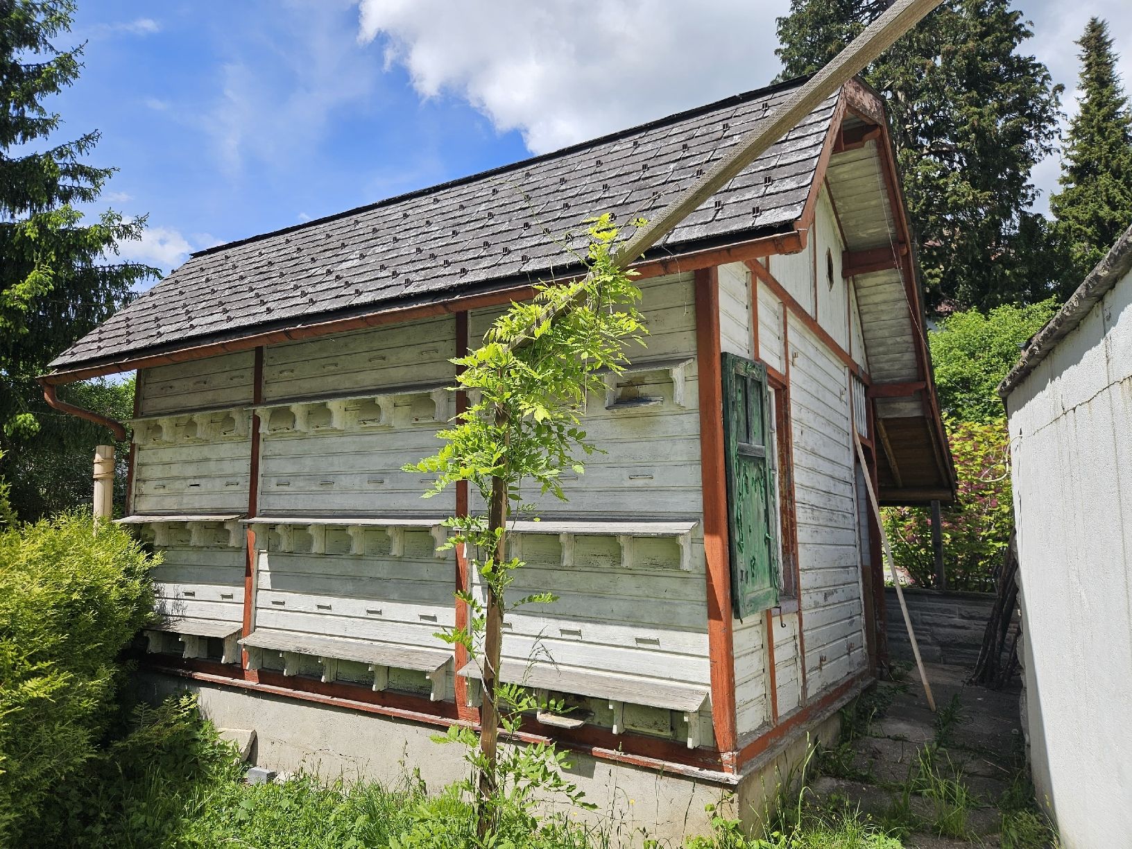 Casette da giardino & serre: Gartenhaus/Bienenhaus – Usato da Wald ZH venduto da ChantalHel 3