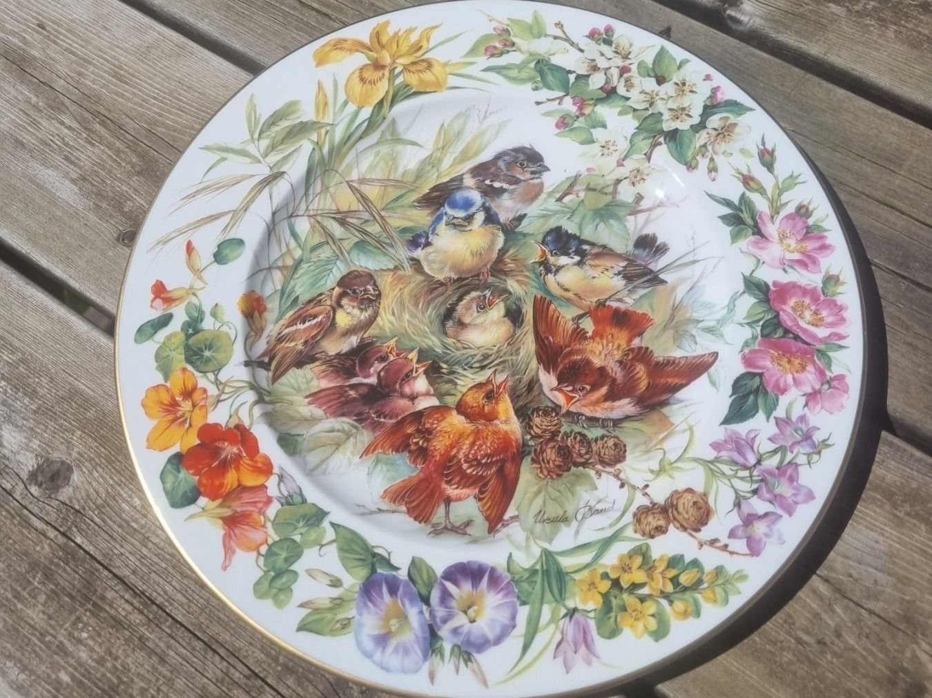 Hutschenreuther Piatti: Assiette de collection,  Ursula Bands,hutchenreuther – Nuovo (secondo la descrizione) da Fribourg venduto da sal_5ln6