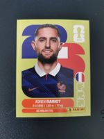 Panini FIFA World Cup Sticker FRA 12