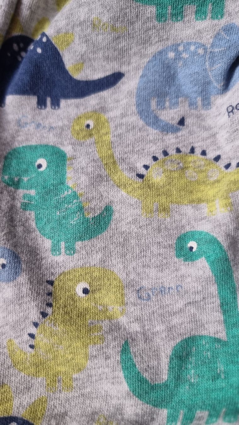 Jacken & Mäntel: Jaquette dinosaure taille 80 – Gebraucht aus Les Breuleux von Mily1991 2