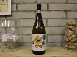 2024 Kripia Pecorino