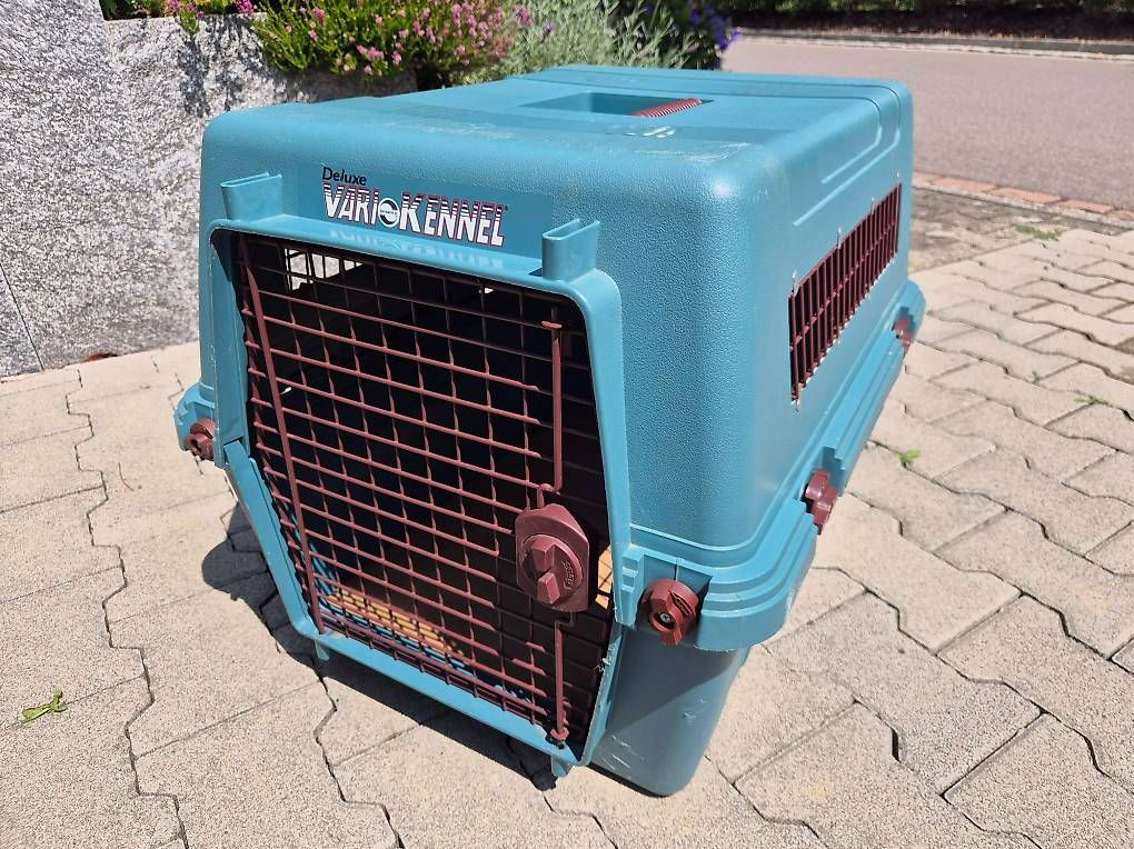 Gabbie, trasporto & Sicurezza: Hunde und Katzenbox gebraucht – Usato da Mellingen venduto da rwbw 1