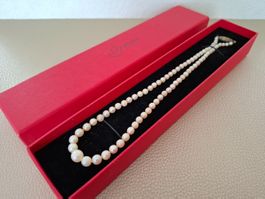 Superbe Collier en Perles Véritables -Vintage Jourdan Bijoux