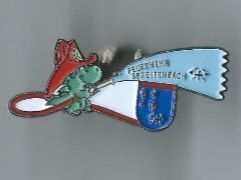 Placchette & Badge: Feuerwehr Spreitenbach Pin – Usato da Zürich venduto da t24_de