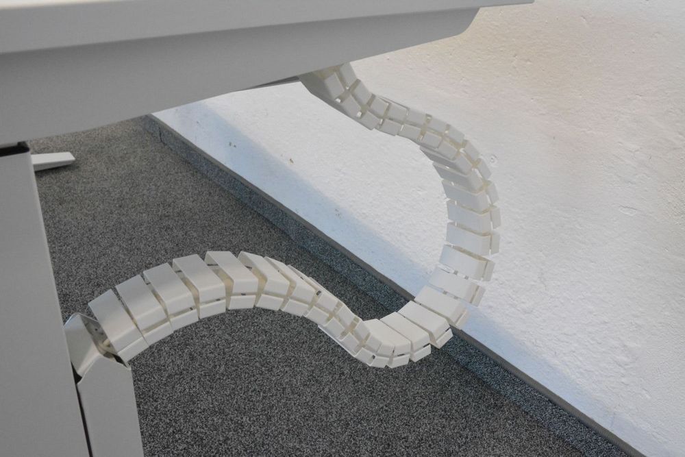 Sitag Tatzelwurm für Sitag Active | Kaufen auf Ricardo