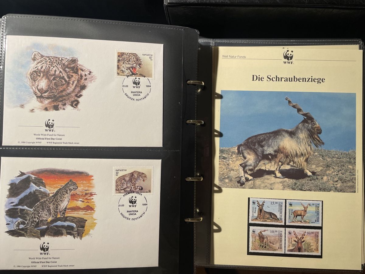 Alle Münzen: WWF Münzbriefe & Briefmarken – Gebraucht aus Bülach von superman1234 2