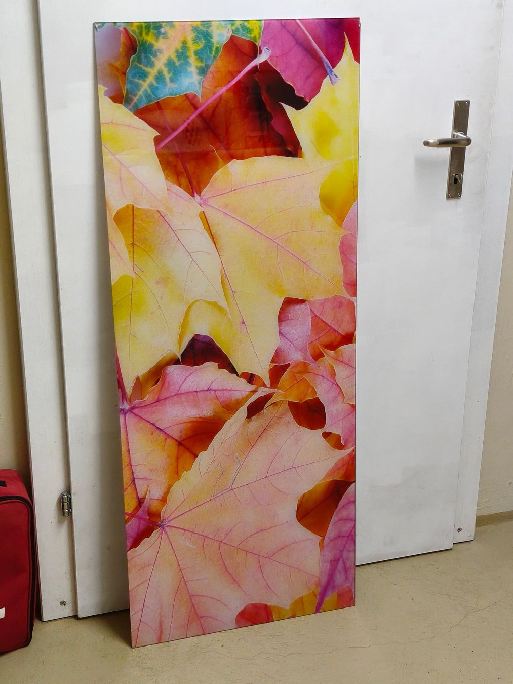Foto & Immagini: Bild unter Glas mit Halterung, 125cm x 50cm – Usato da Laufen venduto da dan_p89t 1