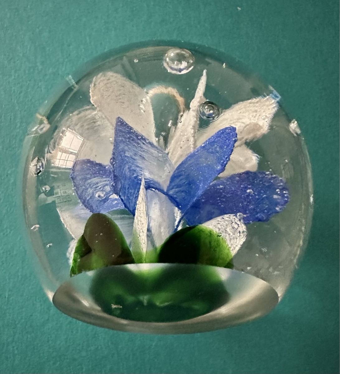 Murano Bicchieri: Paperweight Briefbeschwerer Murano – Nuovo (secondo la descrizione) da Bern venduto da schnupka 3