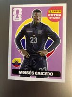 extra sticker moises caicedo