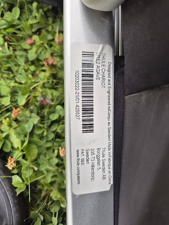 Rimorchi: Thule Chariot Lite 2 Agave 2021 – Usato da Malters venduto da Seat2.0 1