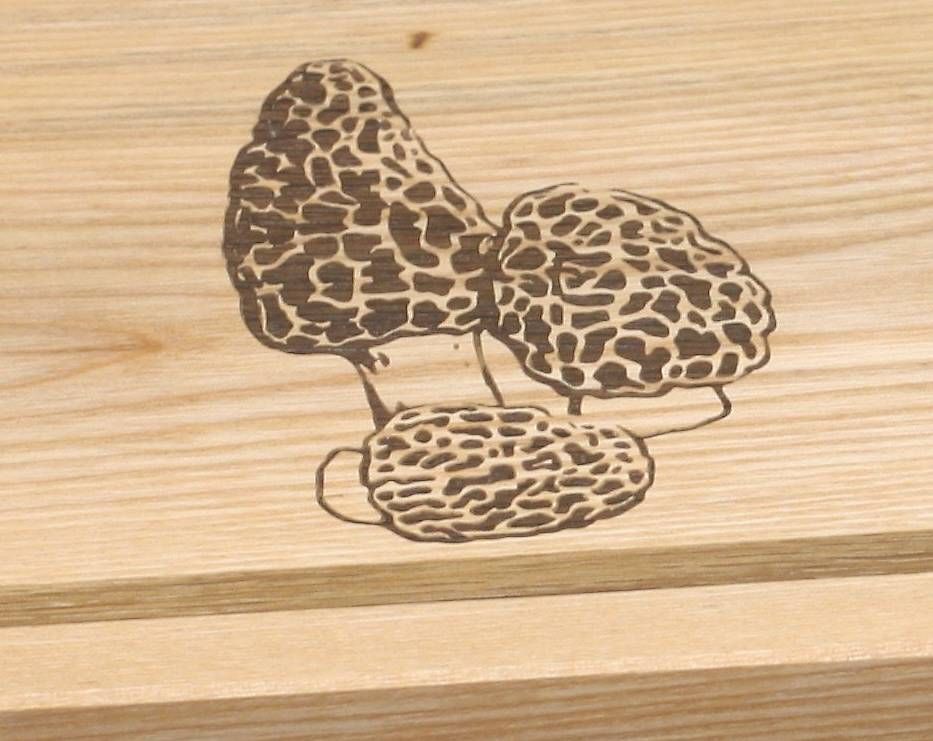 Komplettküchen: Planche à découper Incrustation Morilles  – Gebraucht aus Cernier von Dgege-L 1