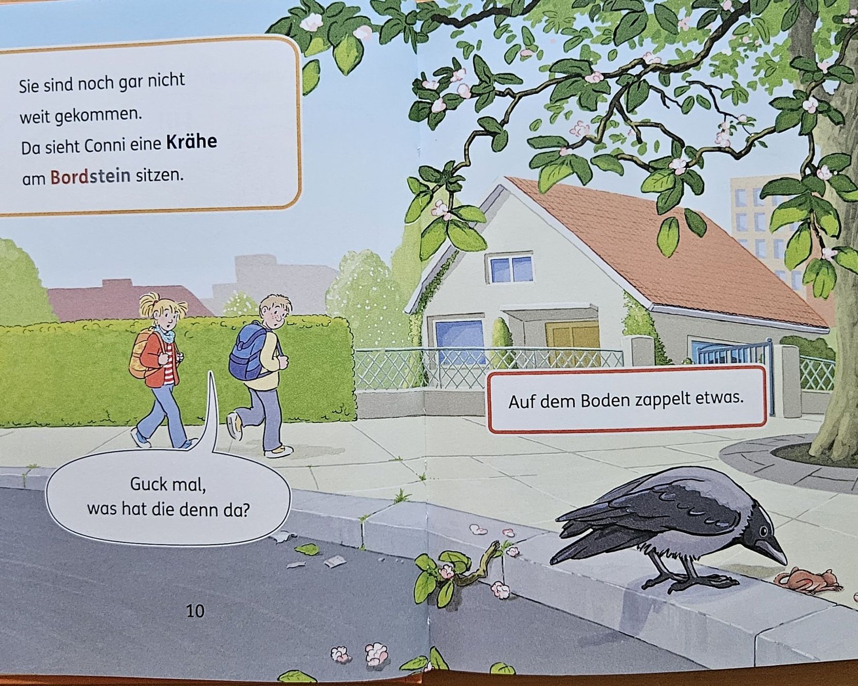 Libri: Julia Boehme: Conni und das Eichhörnchen – Usato da Schaffhausen venduto da asyouwestley 4