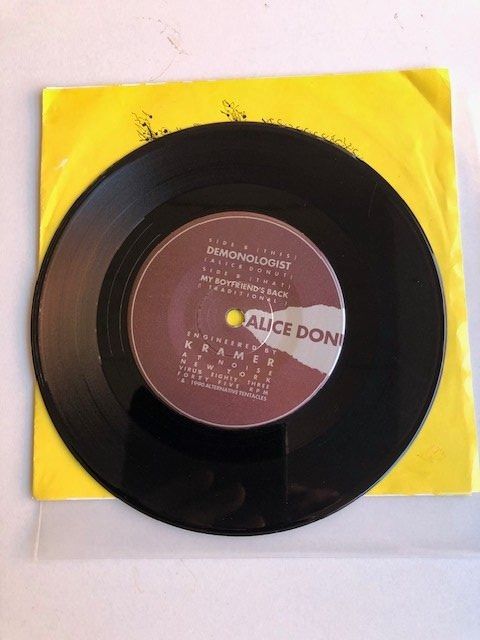 Dischi in vinile: Alice Donut – Usato da Aarwangen venduto da Jukebox3 5