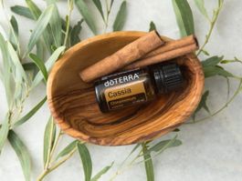 DoTerra Cassia Öl 15ml - Winter Aroma für dein Zuhause!