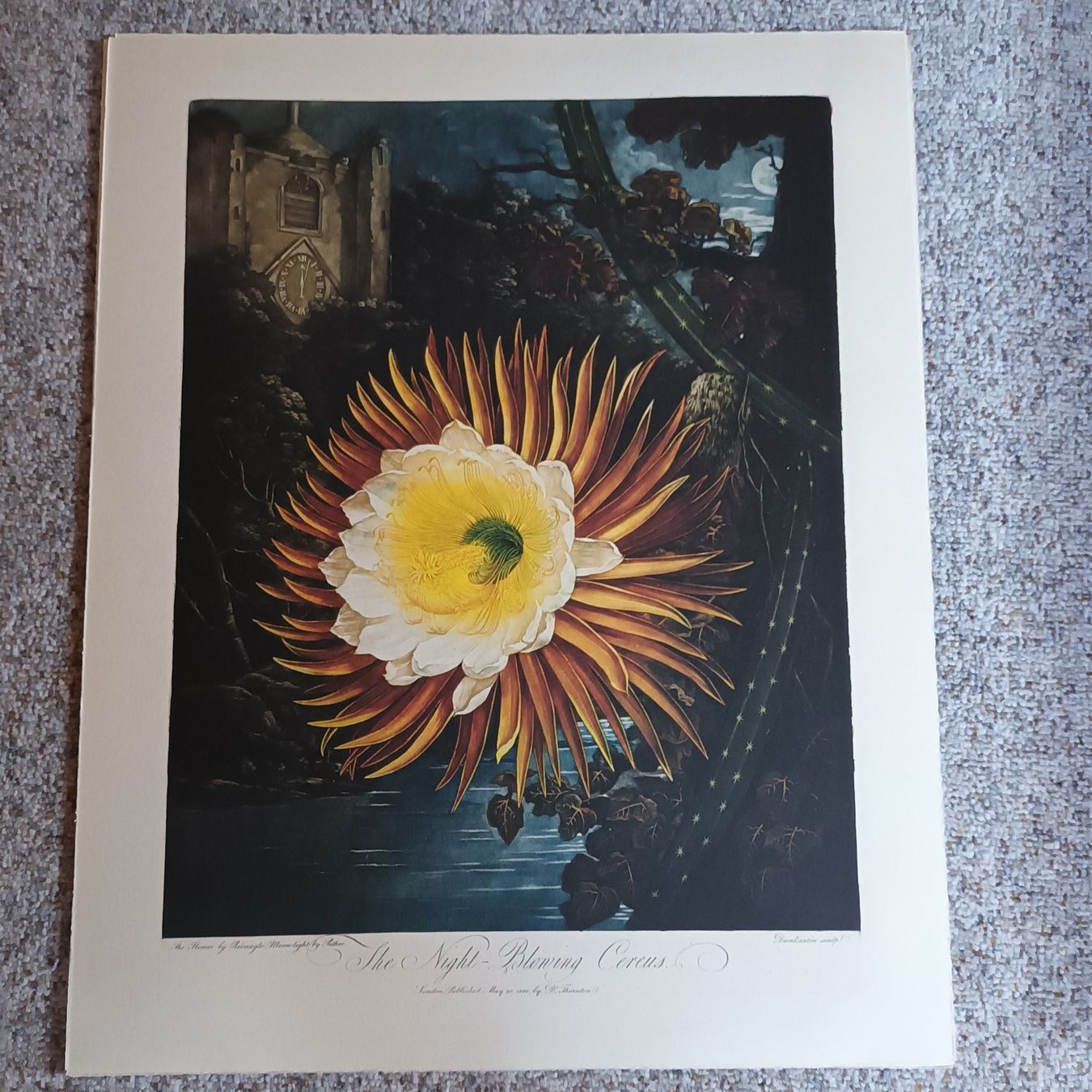 Libri: The Temple of Flora – Nuovo e nell'imballaggio originale da Bäretswil venduto da ricoric 3