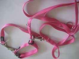 HUNDE   LEINE UND HALSBAND