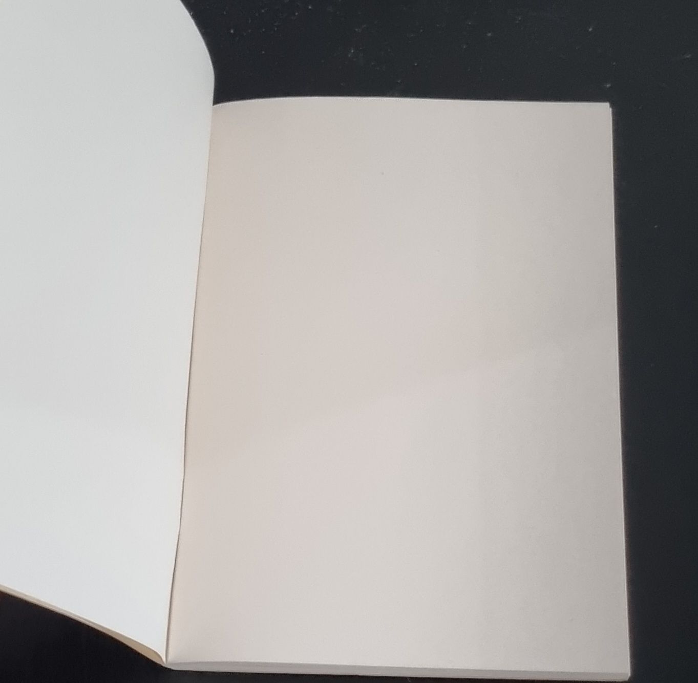 Blocchi: Notizbuch Gedankenbuch – Nuovo (secondo la descrizione) da Affoltern am Albis venduto da thingsANDthings 2