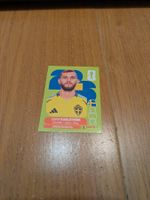 Panini SWE10