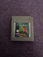 Gameboy Pagemaster