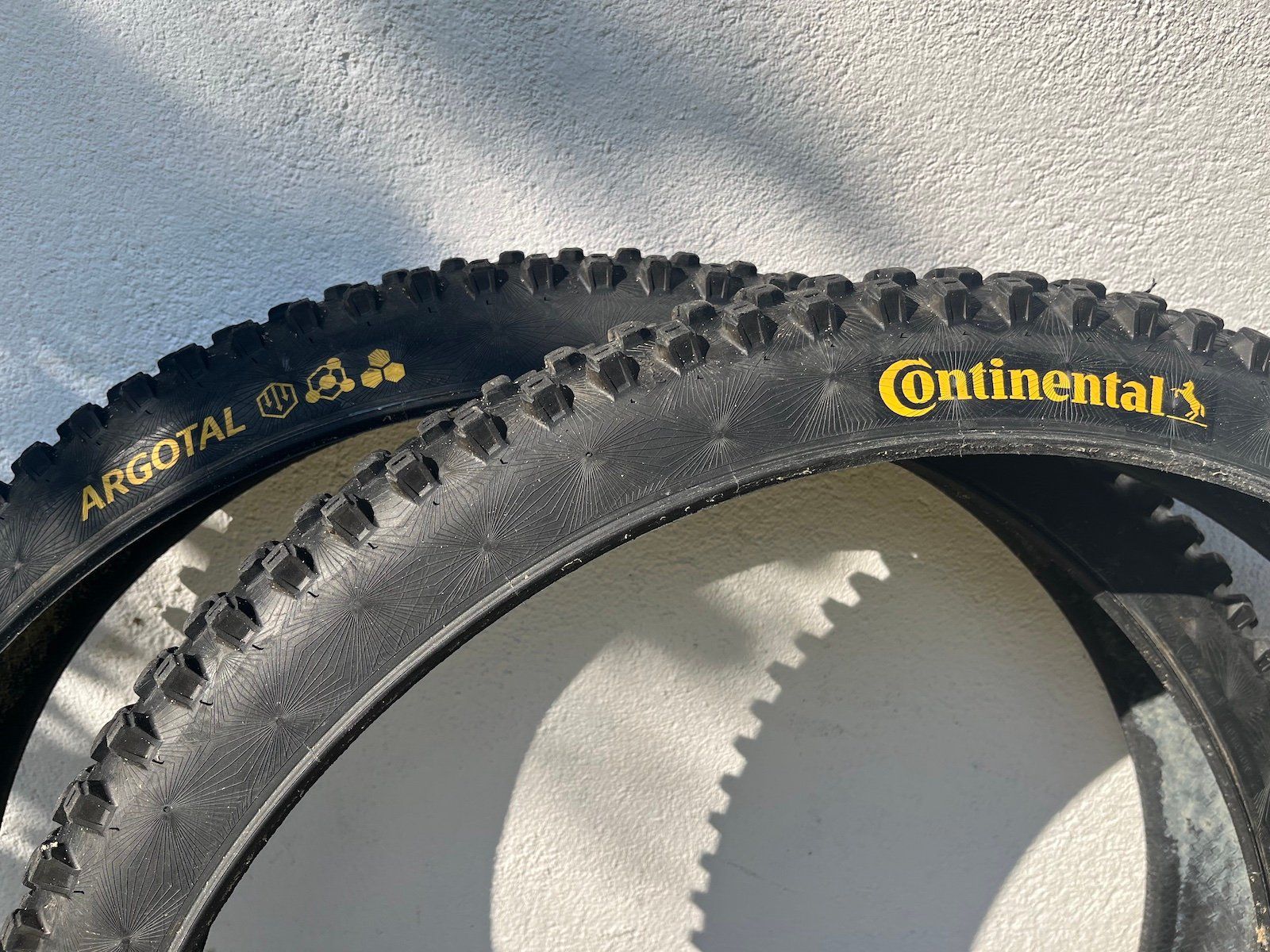 Pezzi di ricambio: Continental Argotal Downhill Supersoft 29 x2.4" – Usato da Massongex venduto da thn311