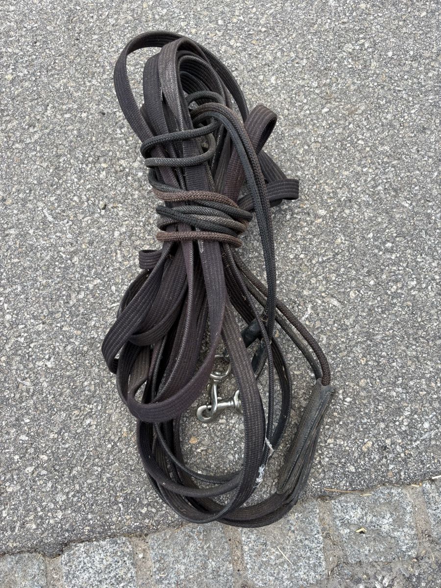 Leine & Halsband: Doppellonge – Gebraucht aus Ersigen von mealagh