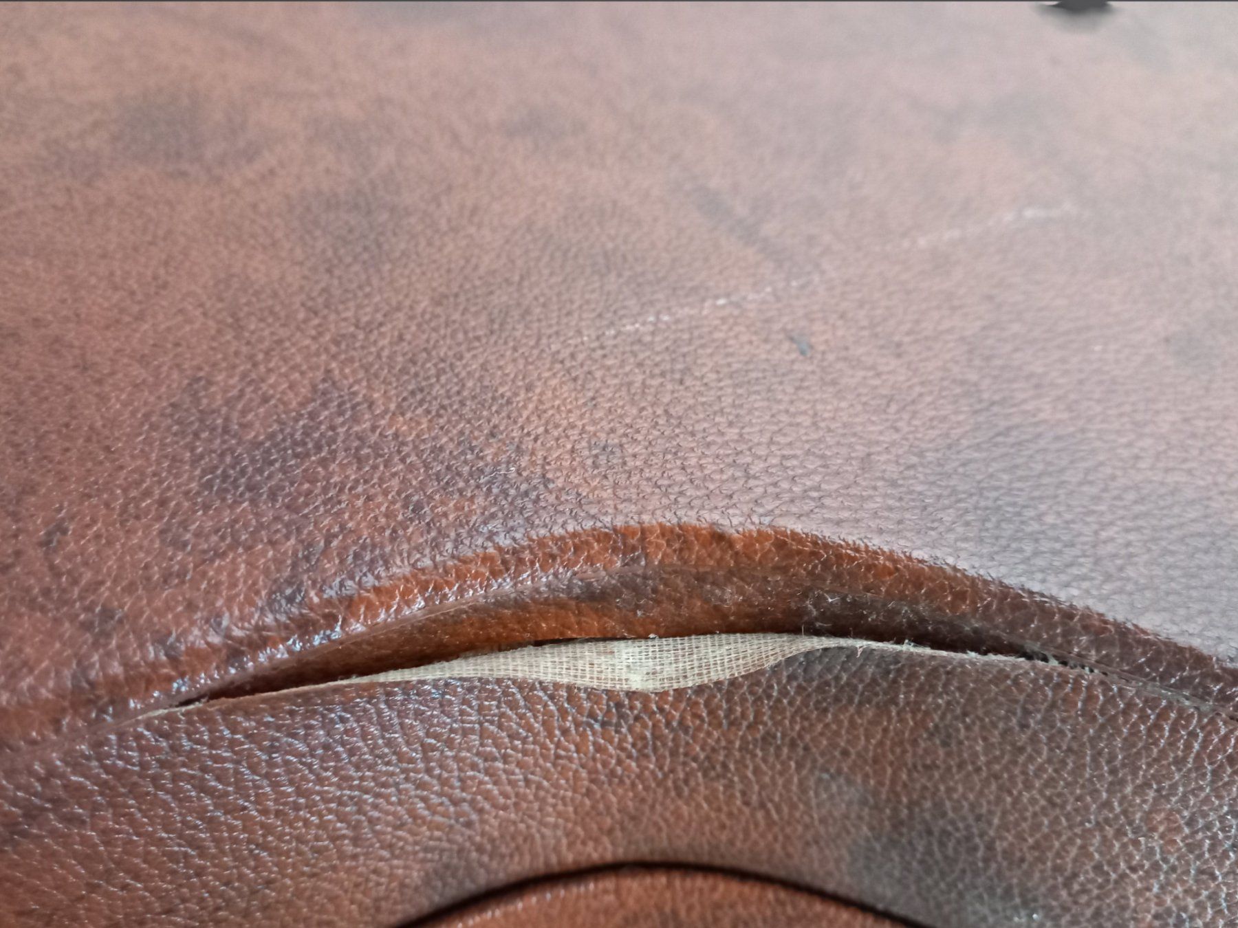 Ibanez Strumenti musicali: Ibanez AM-70AV – Usato da Suhr venduto da Restwert_Suhr 8
