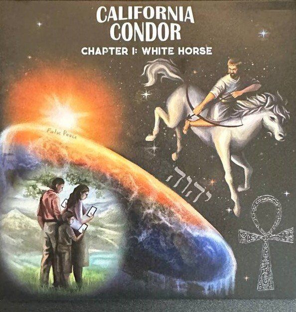 CDs: California Condor CD - Selten – D'occasion à Beringen par Mantafisch1
