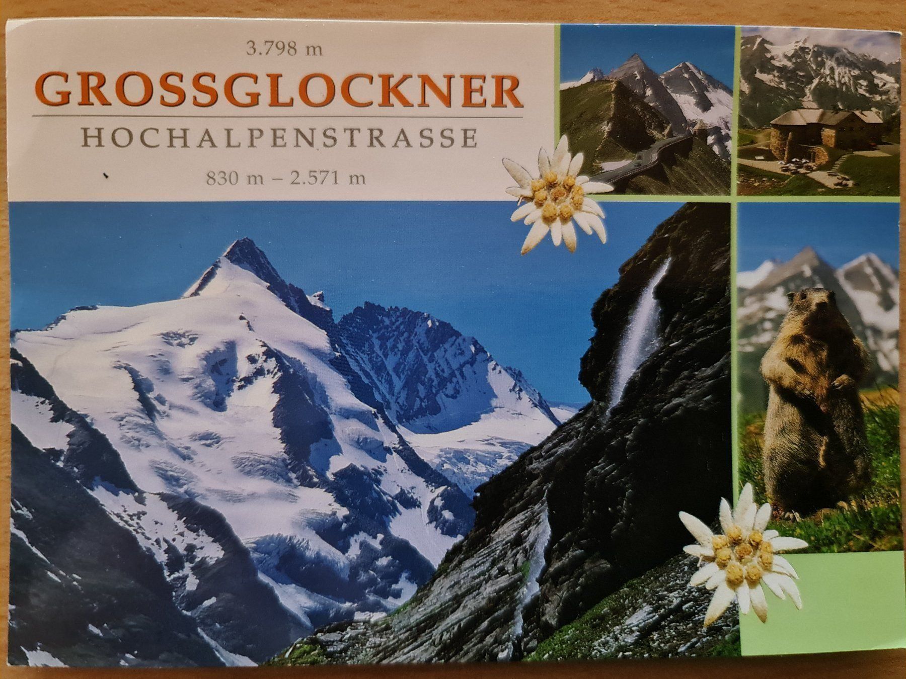 Cartoline postali: Grossglockner Österreich – Nuovo (secondo la descrizione) da Dintikon venduto da Vexi
