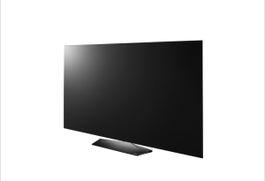 55" LG OLED TV OLED55B6V Fernseher