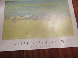 Kunst-Kalender 1999 Peter Thalmann                   (Nr.02)