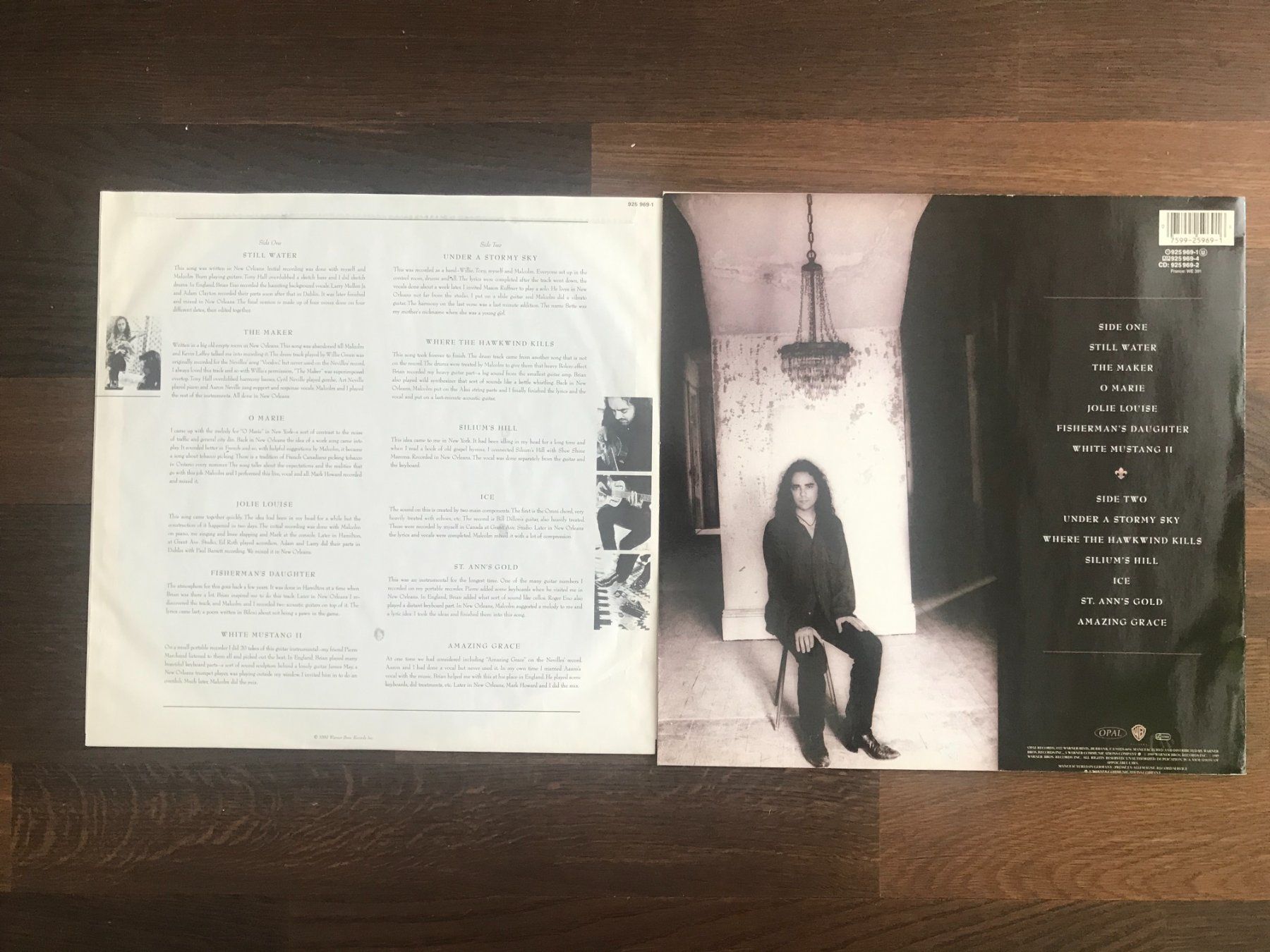 Dischi in vinile: DANIEL LANOIS - Acadie – Usato da Buchs AG venduto da Archie 1