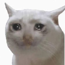 Profile image of sadcat