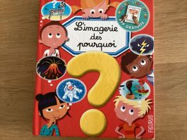 L‘imagerie des pourquoi